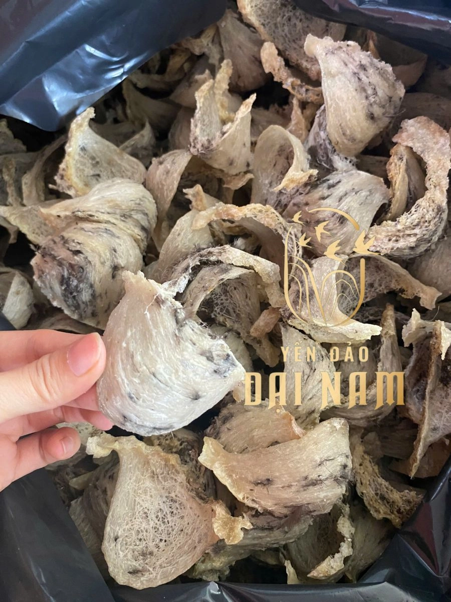 Mua yến sào ở đâu uy tín?