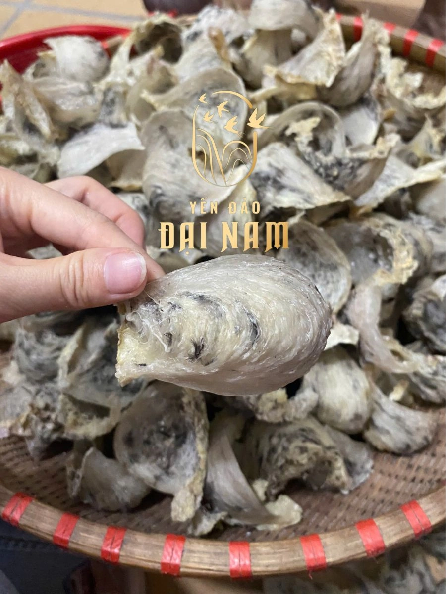 Mua tổ yến thật TP.HCM