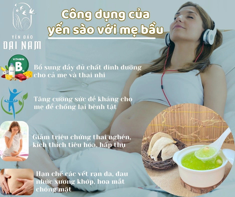 Công Dụng Của Yến Sào