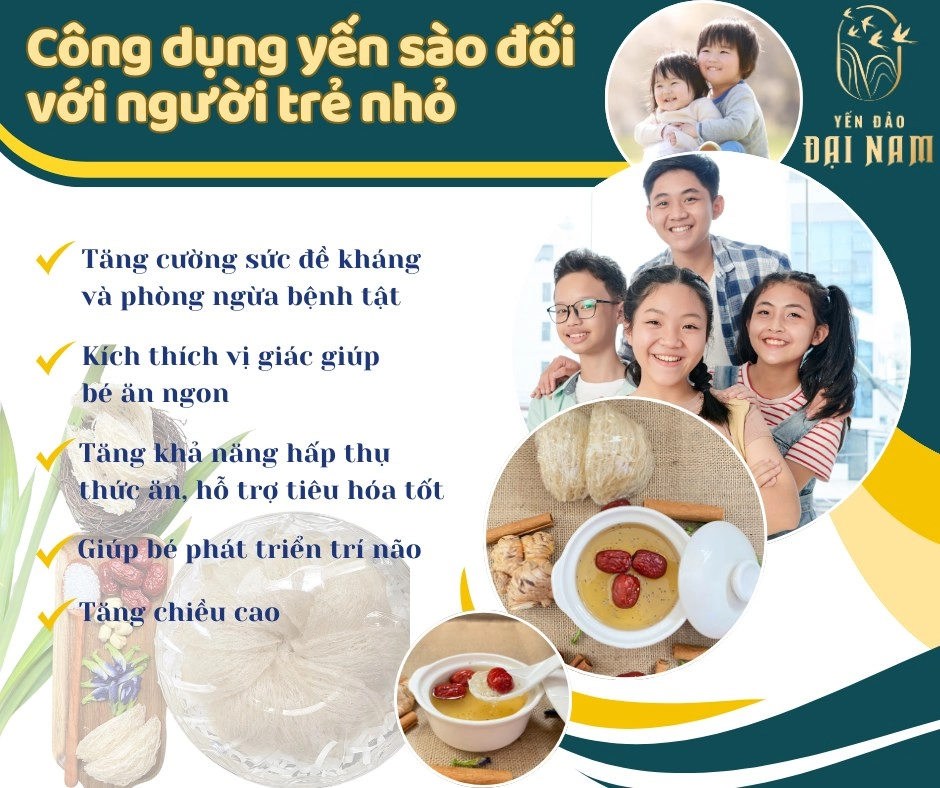Công Dụng Của Yến Sào