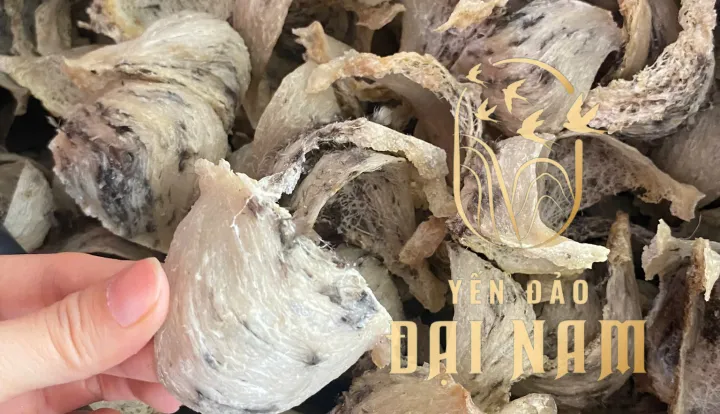 Cửa Hàng Bán Yến Nhà Nuôi Chất Lượng Phú Nhuận