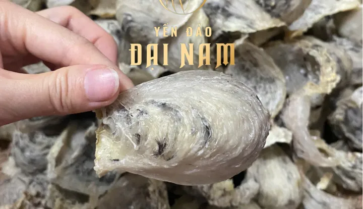 Yến Tổ Nhà Nuôi Phú Nhuận